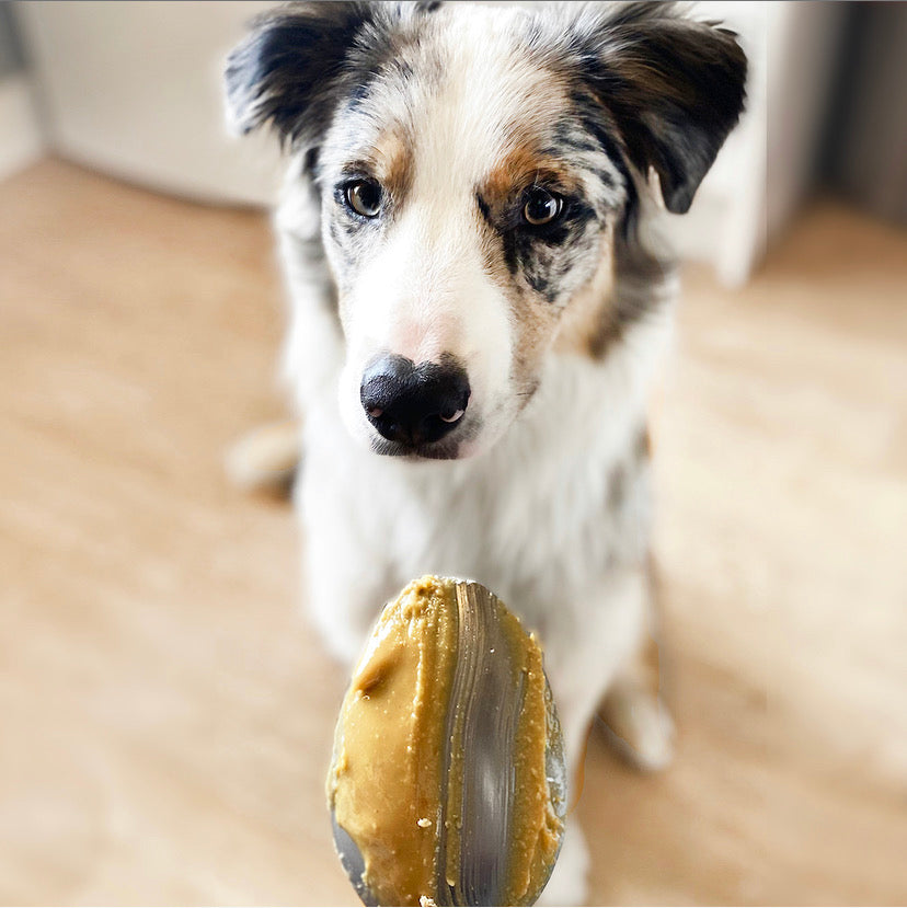 Nuts For Pets - The Big One - Doggy Baking Co by The Bottled Baking Co