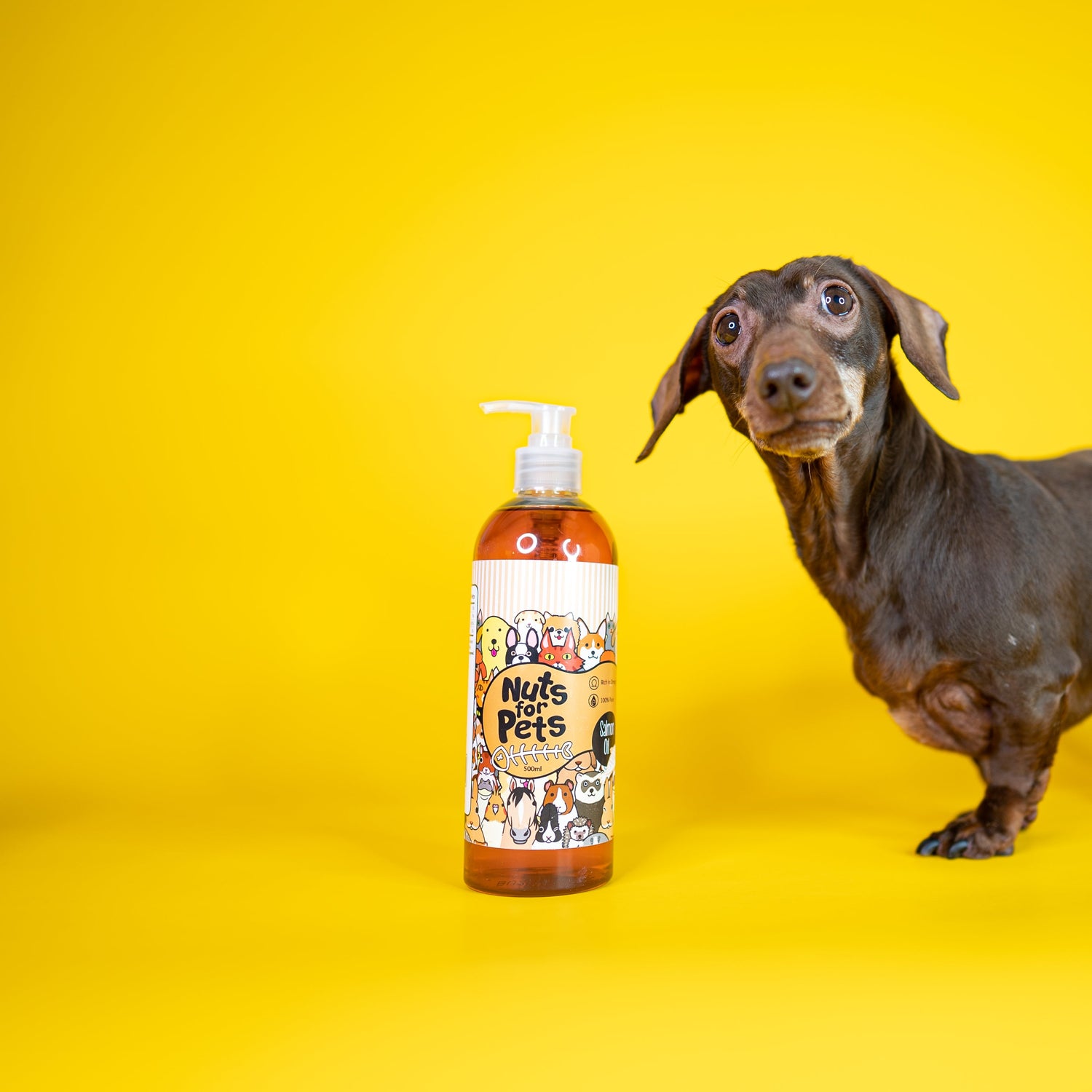 Nuts For Pets - Salmon Oil - Doggy Baking Co by The Bottled Baking Co