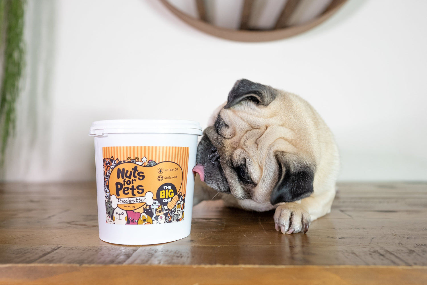 Nuts For Pets - The Big One - Doggy Baking Co by The Bottled Baking Co