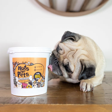 Nuts For Pets - The Big One - Doggy Baking Co by The Bottled Baking Co